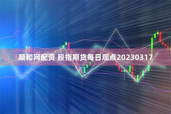 顺和网配资 股指期货每日观点20230317