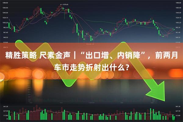 精胜策略 尺素金声｜“出口增、内销降”，前两月车市走势折射出什么？